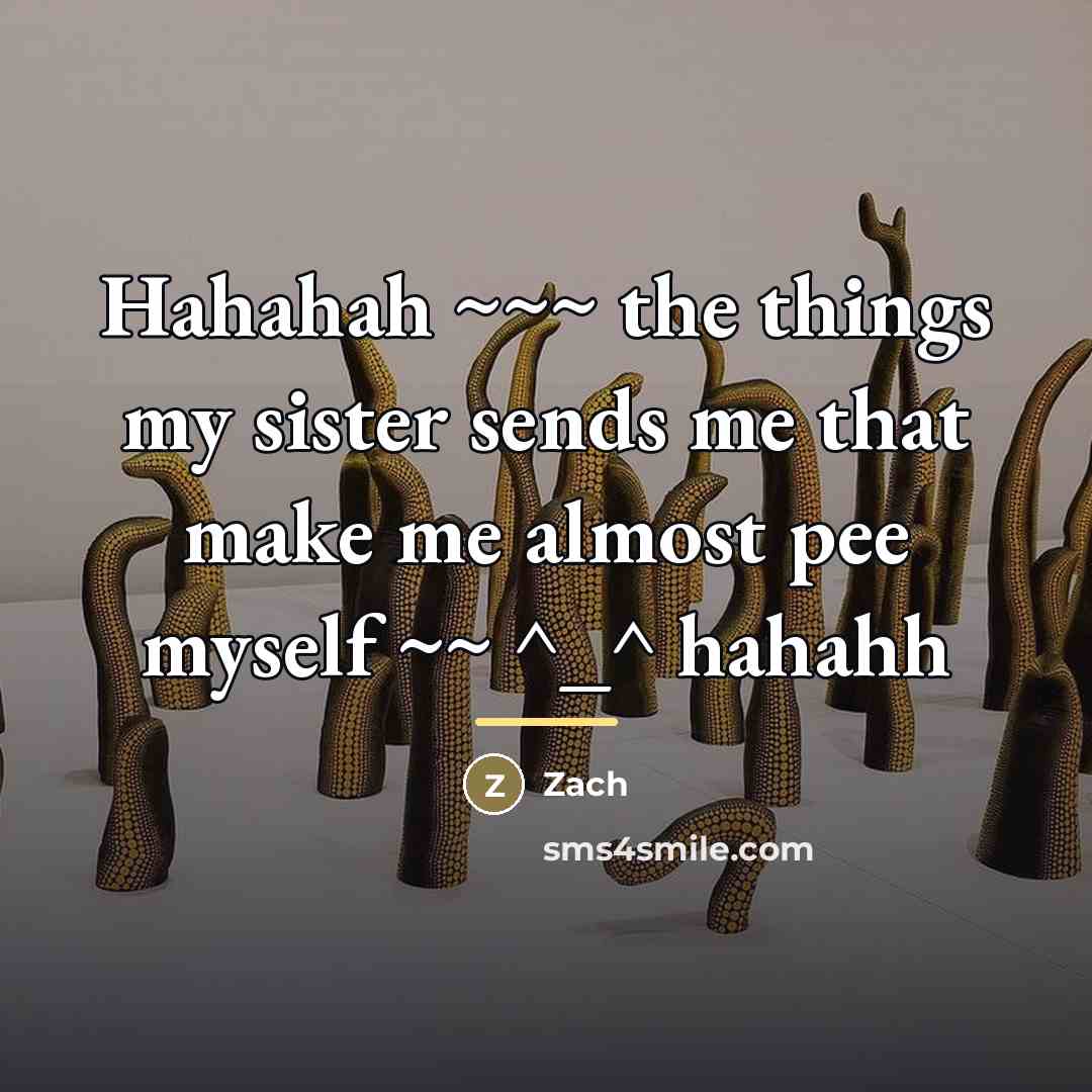 “Hahahah ~~~ the things my sister sends me that make…” quote by Zach