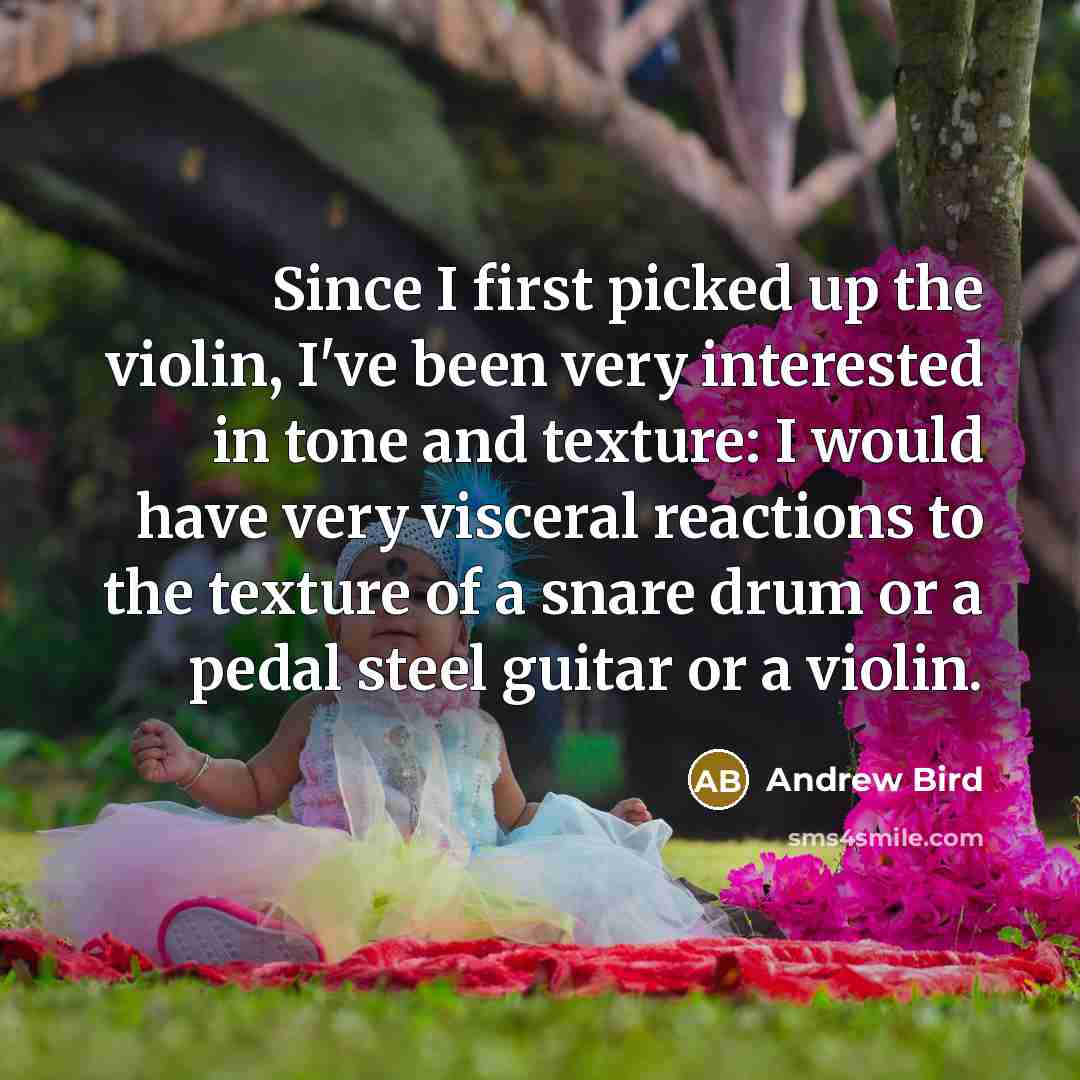 “Since I first picked up the violin, I've been very…” quote by Andrew Bird