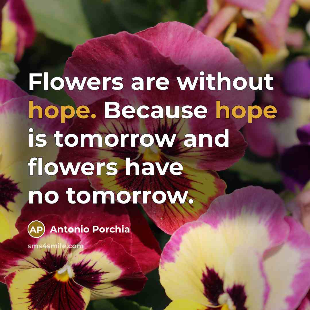 “Flowers are without hope. Because hope is tomorrow and flowers…” quote by Antonio Porchia
