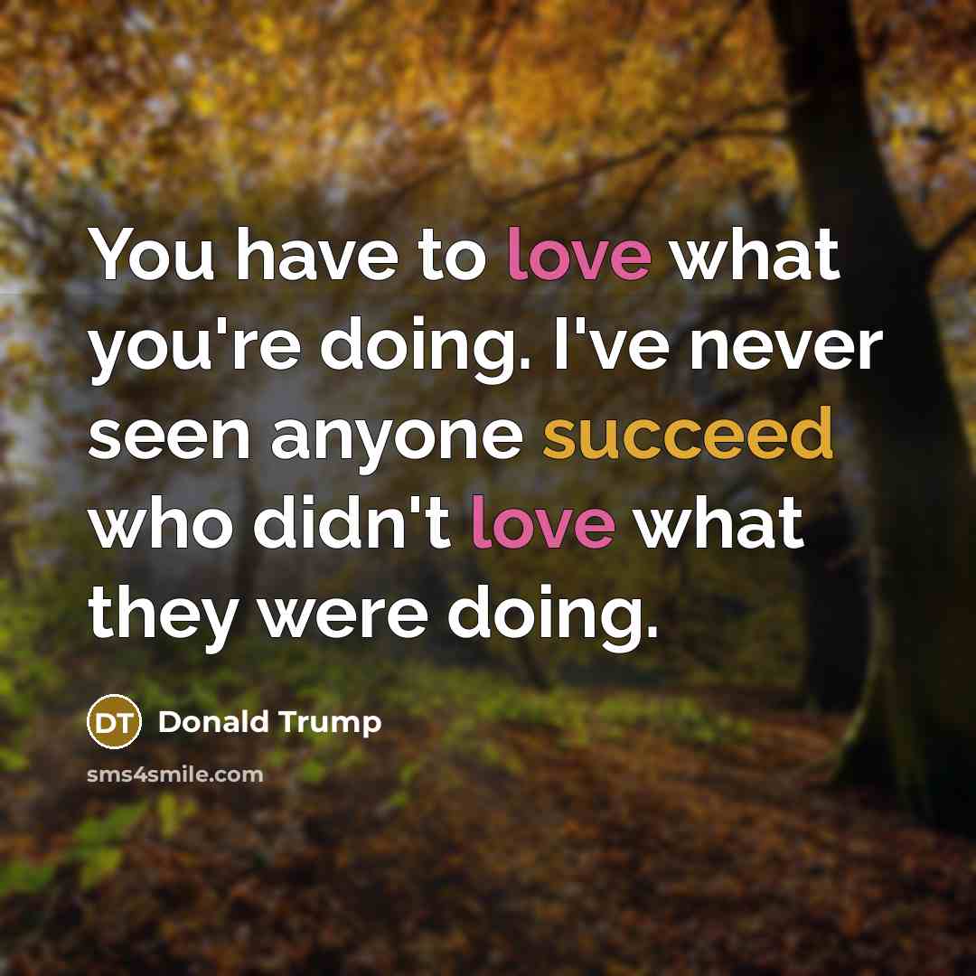 “You have to love what you're doing. I've never seen anyone succeed who didn't love what they were doing.” quote by Donald Trump
