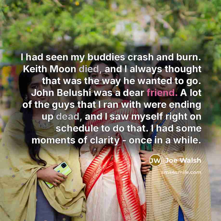 “I had seen my buddies crash and burn. Keith Moon…” quote by Joe Walsh