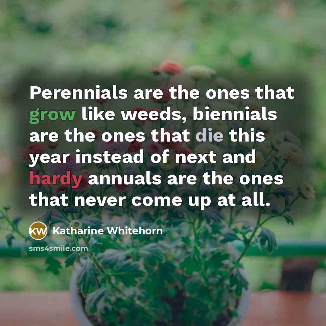 “Perennials are the ones that grow like weeds, biennials are…” quote by Katharine Whitehorn