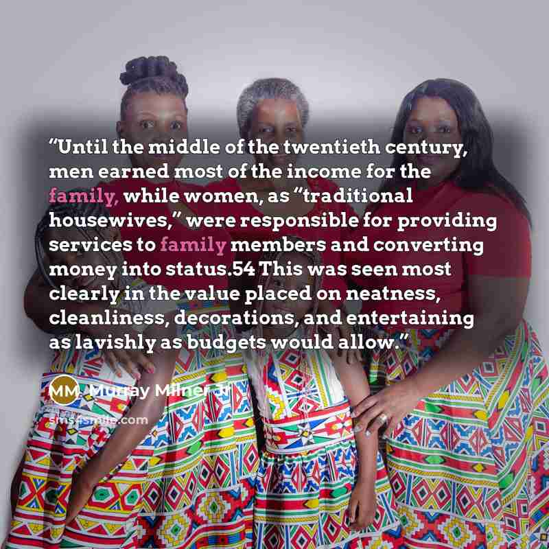 “Until the middle of the twentieth century, men earned most of the income for the family, while women, as “traditional housewives,” were responsible for providing services to family members and converting money into status.54 This was seen most clearly in the value placed on neatness, cleanliness…” quote by Murray Milner Jr