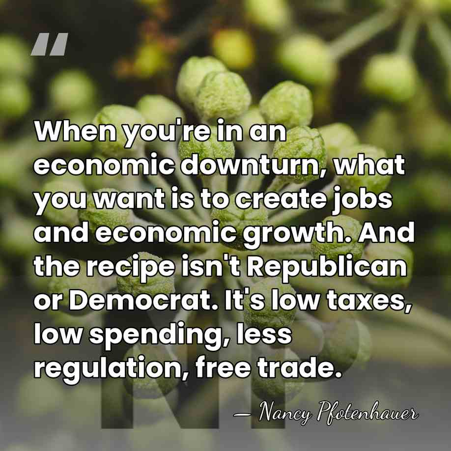 When you're in an economic downturn, what you want is to create&hellip; - Nancy Pfotenhauer