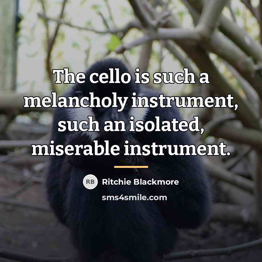 “The cello is such a melancholy instrument, such an isolated,…” quote by Ritchie Blackmore
