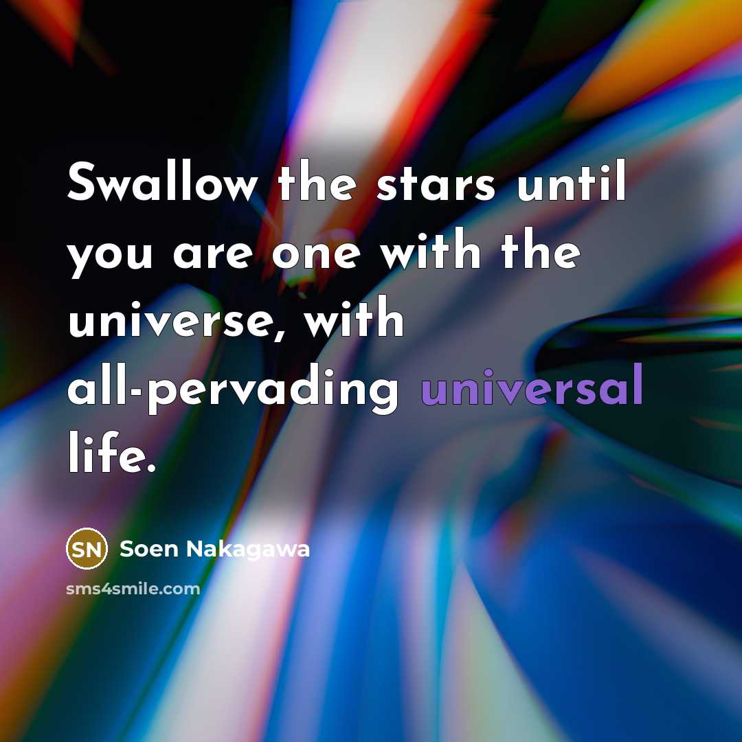 “Swallow the stars until you are one with the universe,…” quote by Soen Nakagawa