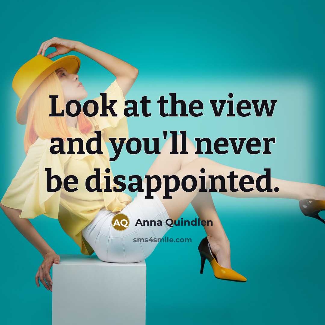 “Look at the view and you'll never be disappointed.…” quote by Anna Quindlen