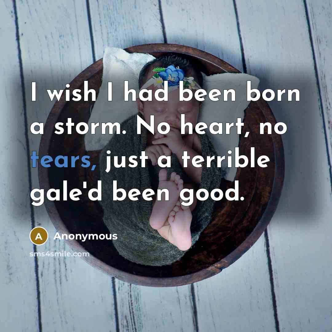 “I wish I had been born a storm. No heart,…” quote by Anonymous
