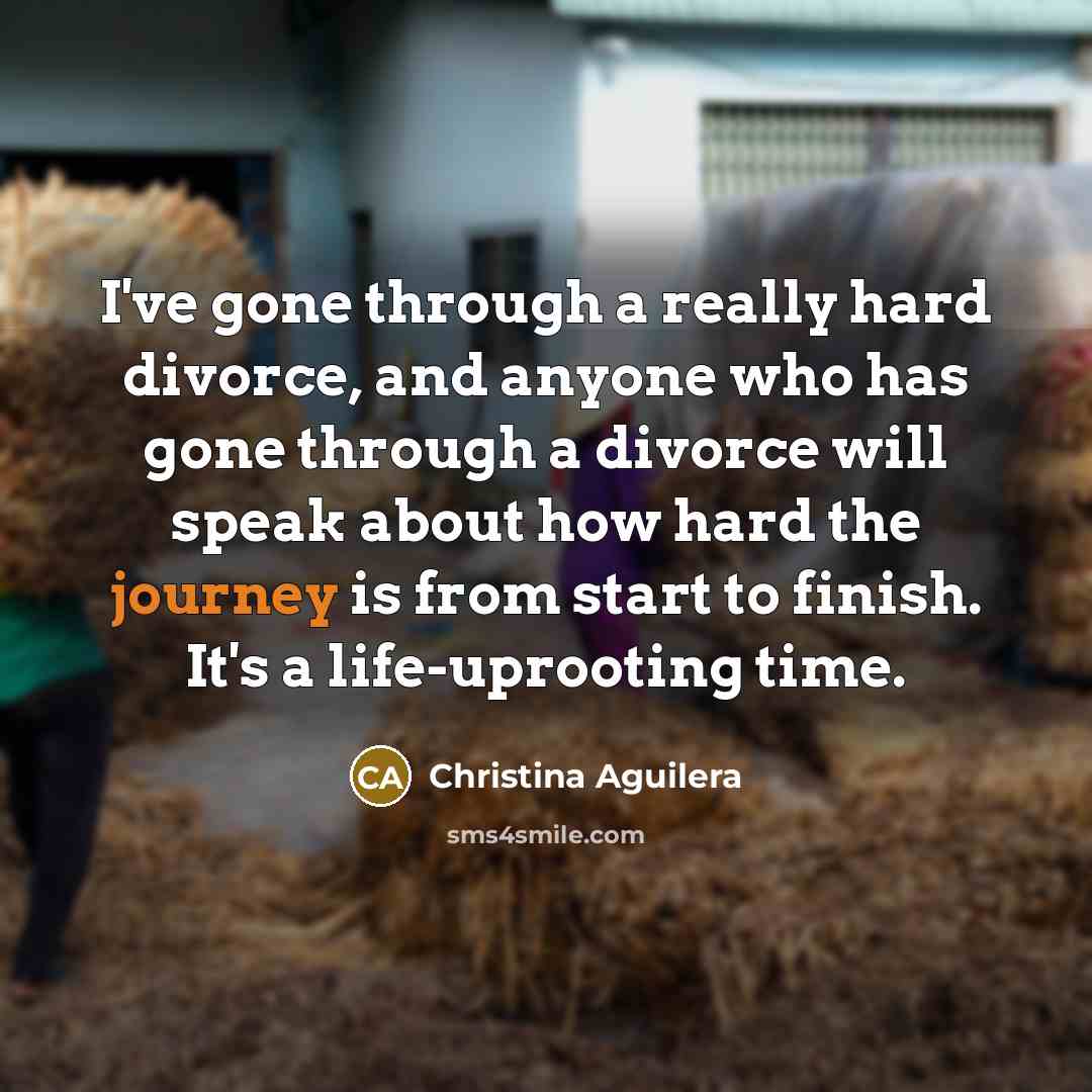 “I've gone through a really hard divorce, and anyone who…” quote by Christina Aguilera