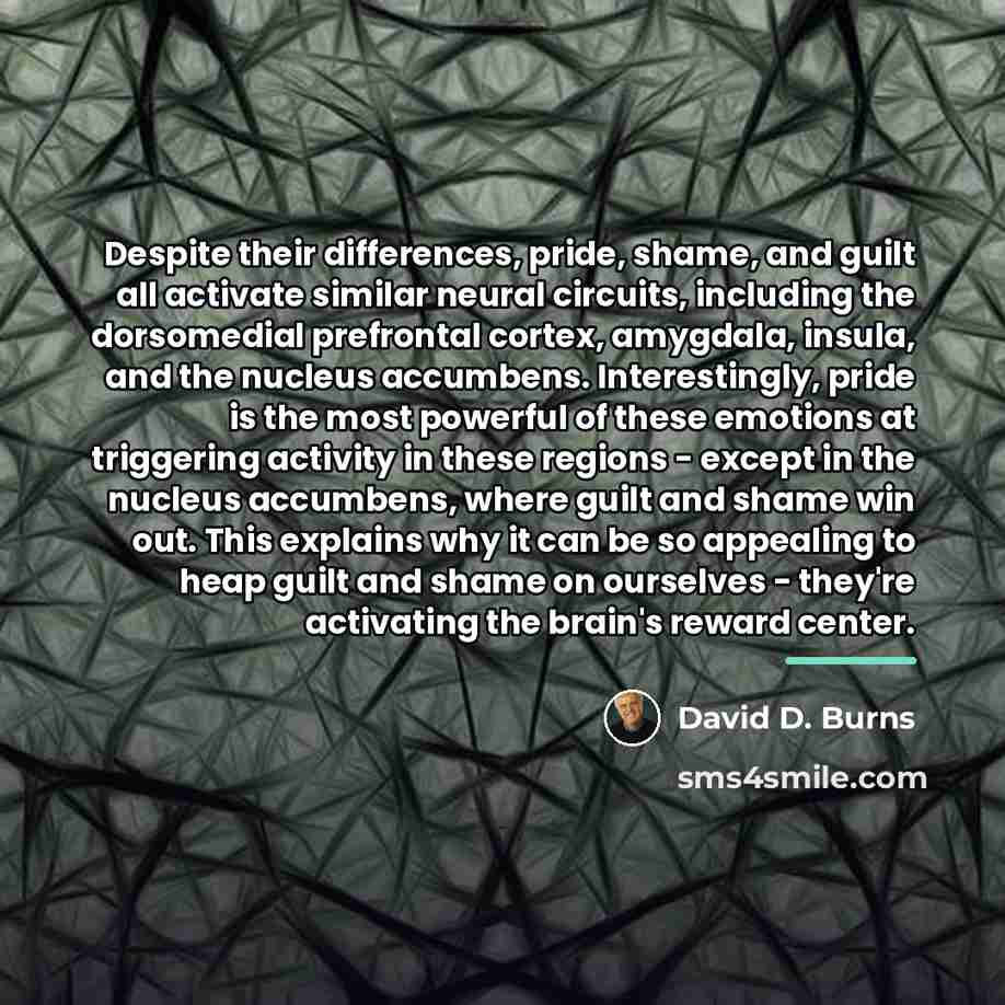 “Despite their differences, pride, shame, and guilt all activate similar…” quote by David D. Burns