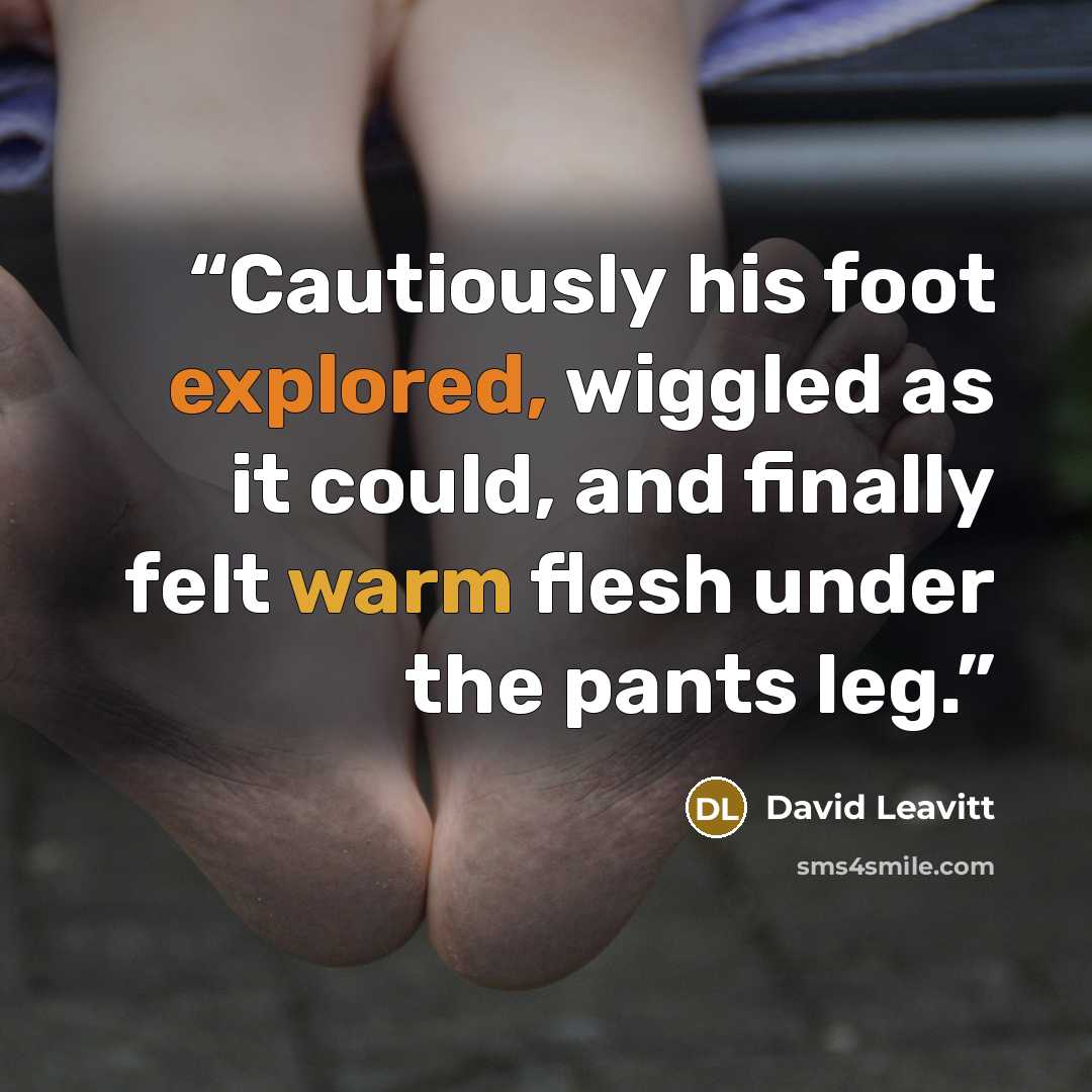 “Cautiously his foot explored, wiggled as it could, and finally felt warm flesh under the pants leg.” quote by David Leavitt