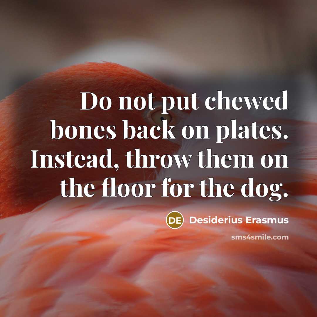 “Do not put chewed bones back on plates. Instead, throw them on the floor for the dog.” quote by Desiderius Erasmus