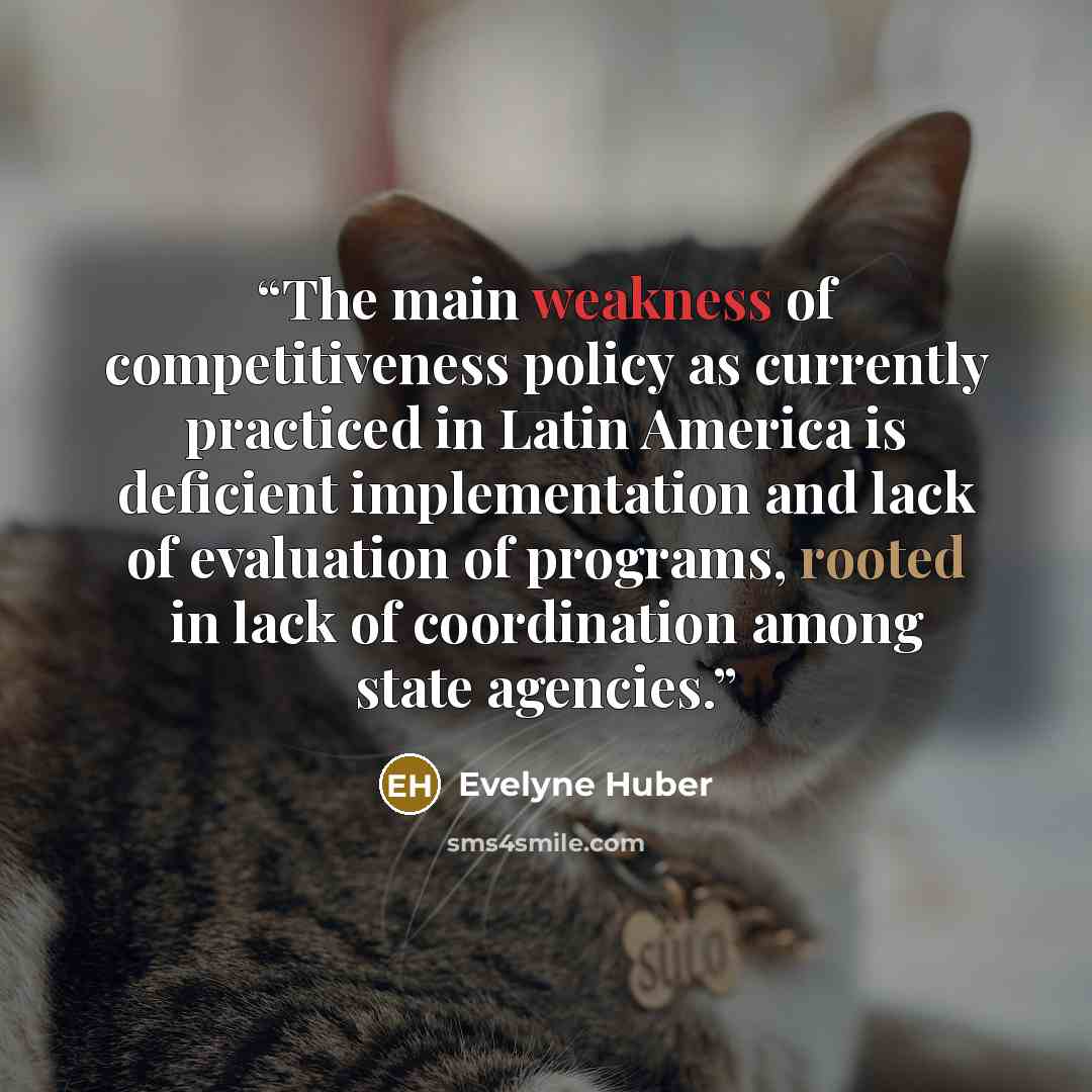 “The main weakness of competitiveness policy as currently practiced in Latin America is deficient implementation and lack of evaluation of programs, rooted in lack of coordination among state agencies.” quote by Evelyne Huber