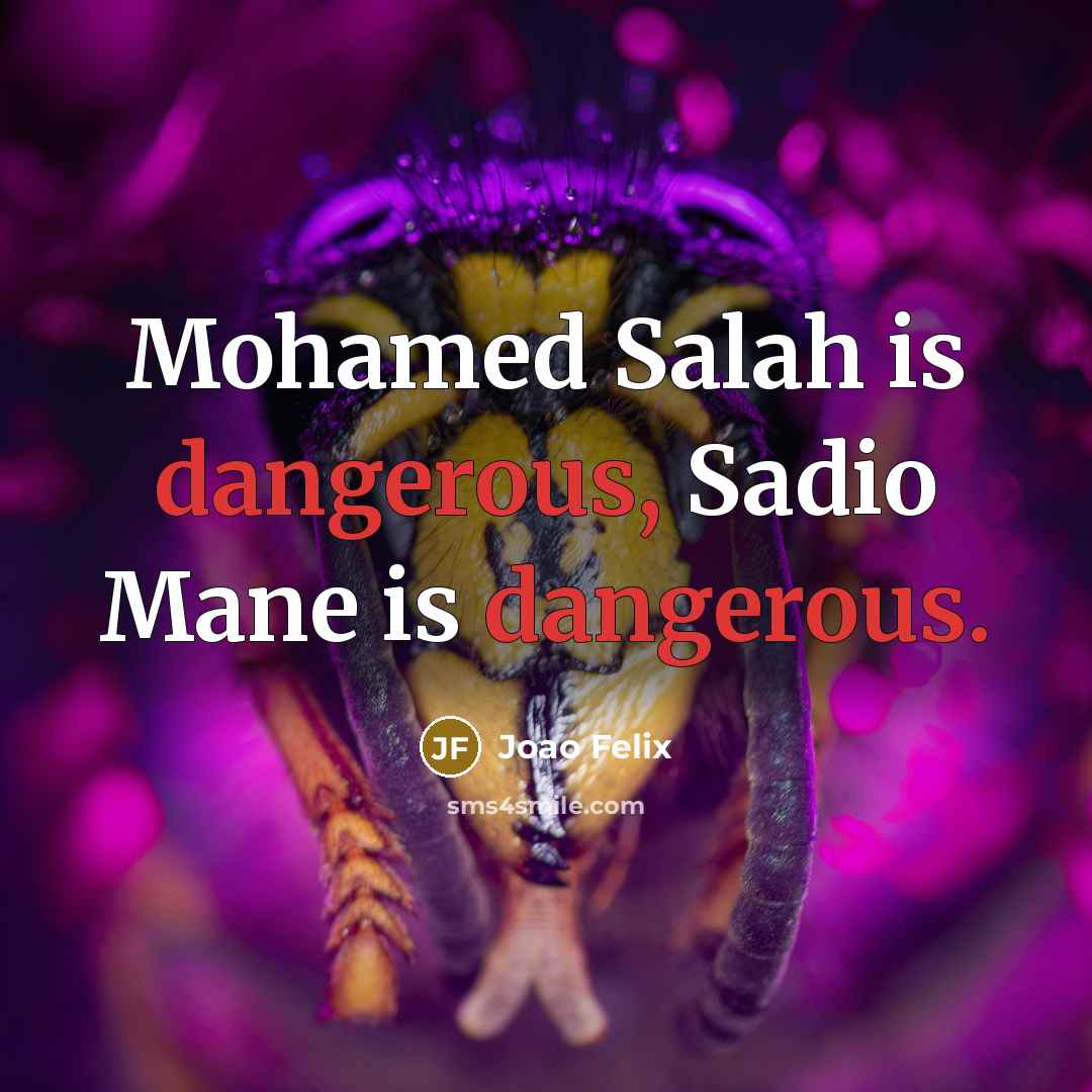 “Mohamed Salah is dangerous, Sadio Mane is dangerous.…” quote by Joao Felix
