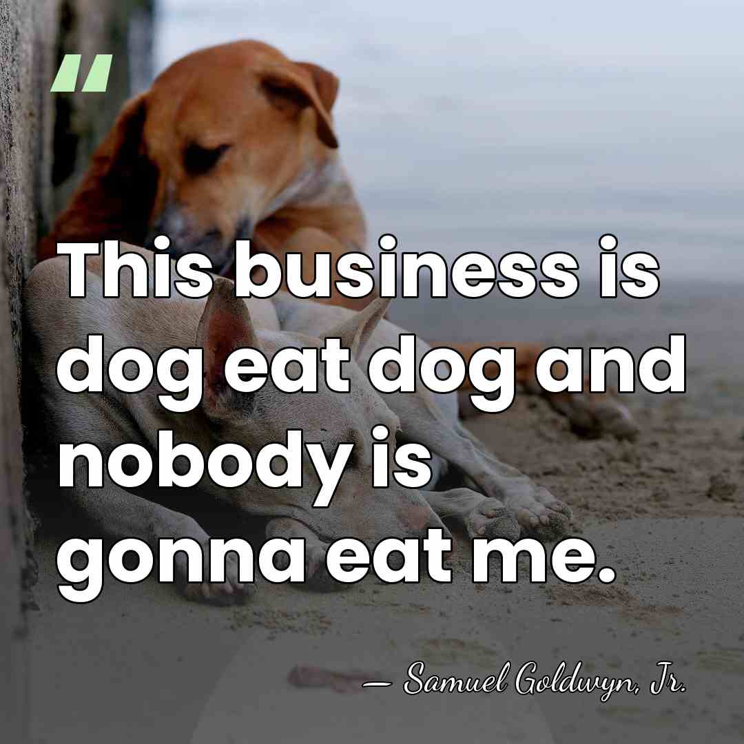 This business is dog eat dog and nobody is gonna eat me. - Samuel Goldwyn, Jr.