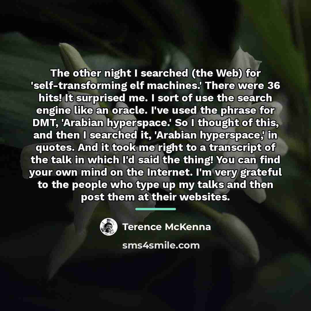 “The other night I searched (the Web) for 'self-transforming elf…” quote by Terence McKenna