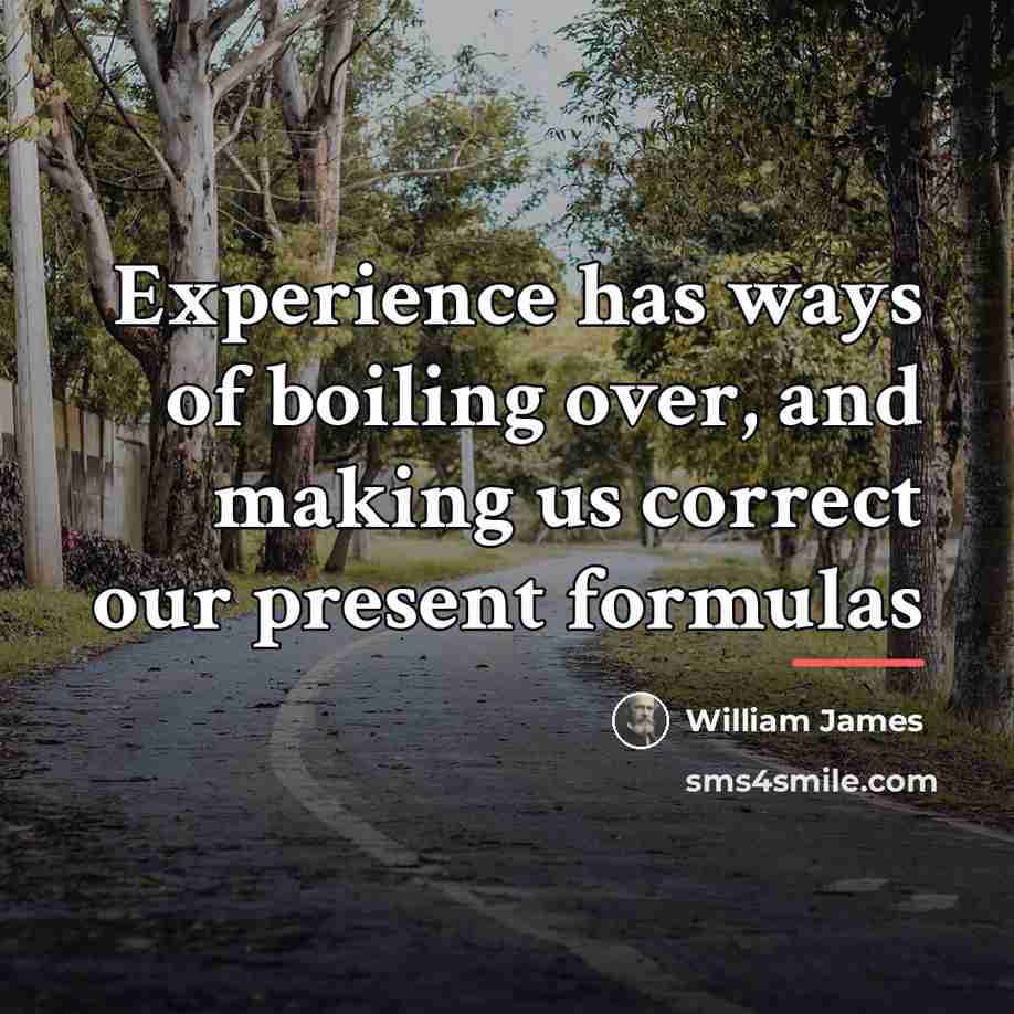 “Experience has ways of boiling over, and making us correct…” quote by William James