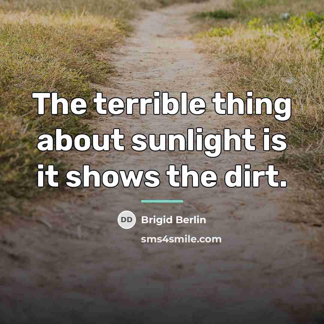 “The terrible thing about sunlight is it shows the dirt.…” quote by Brigid Berlin