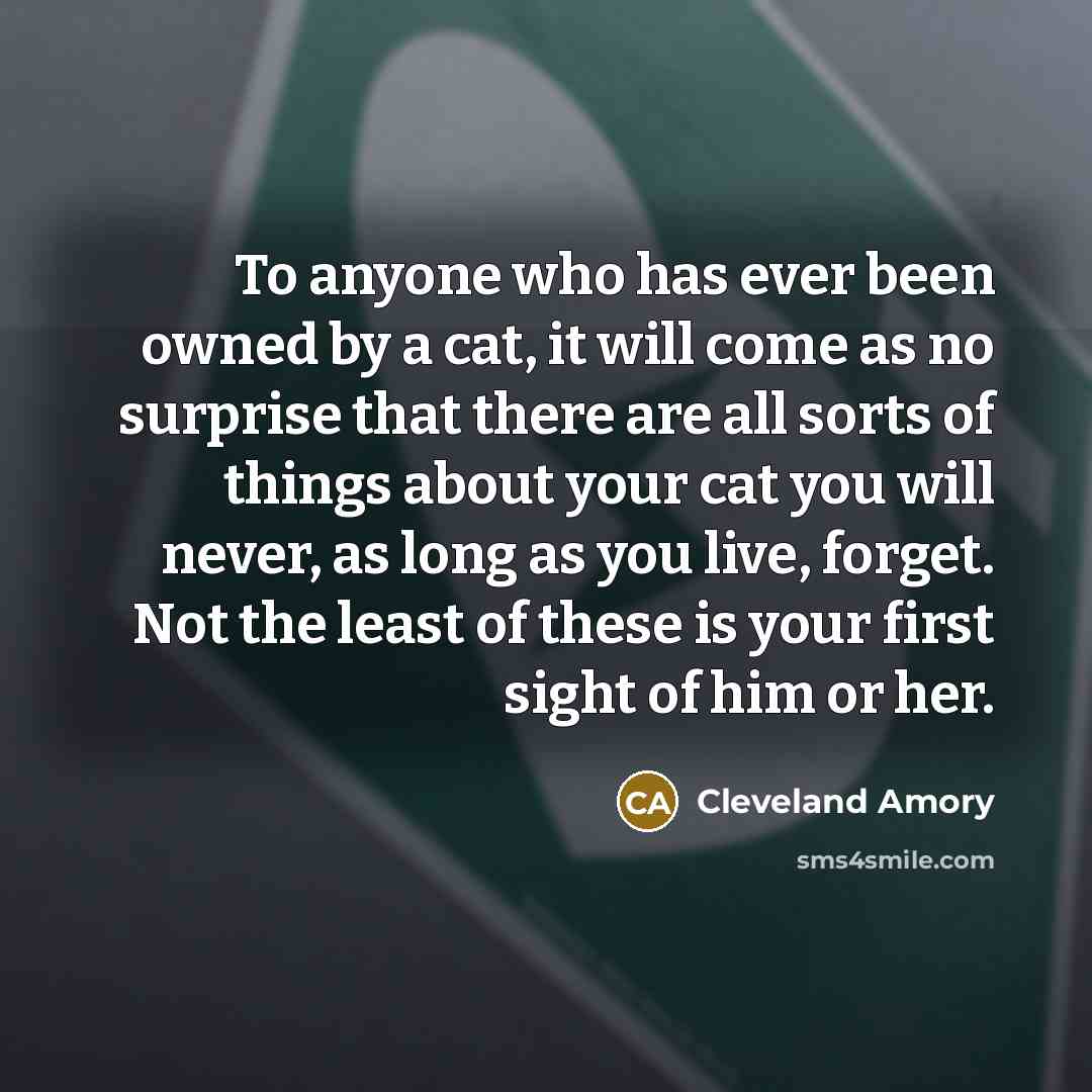“To anyone who has ever been owned by a cat,…” quote by Cleveland Amory