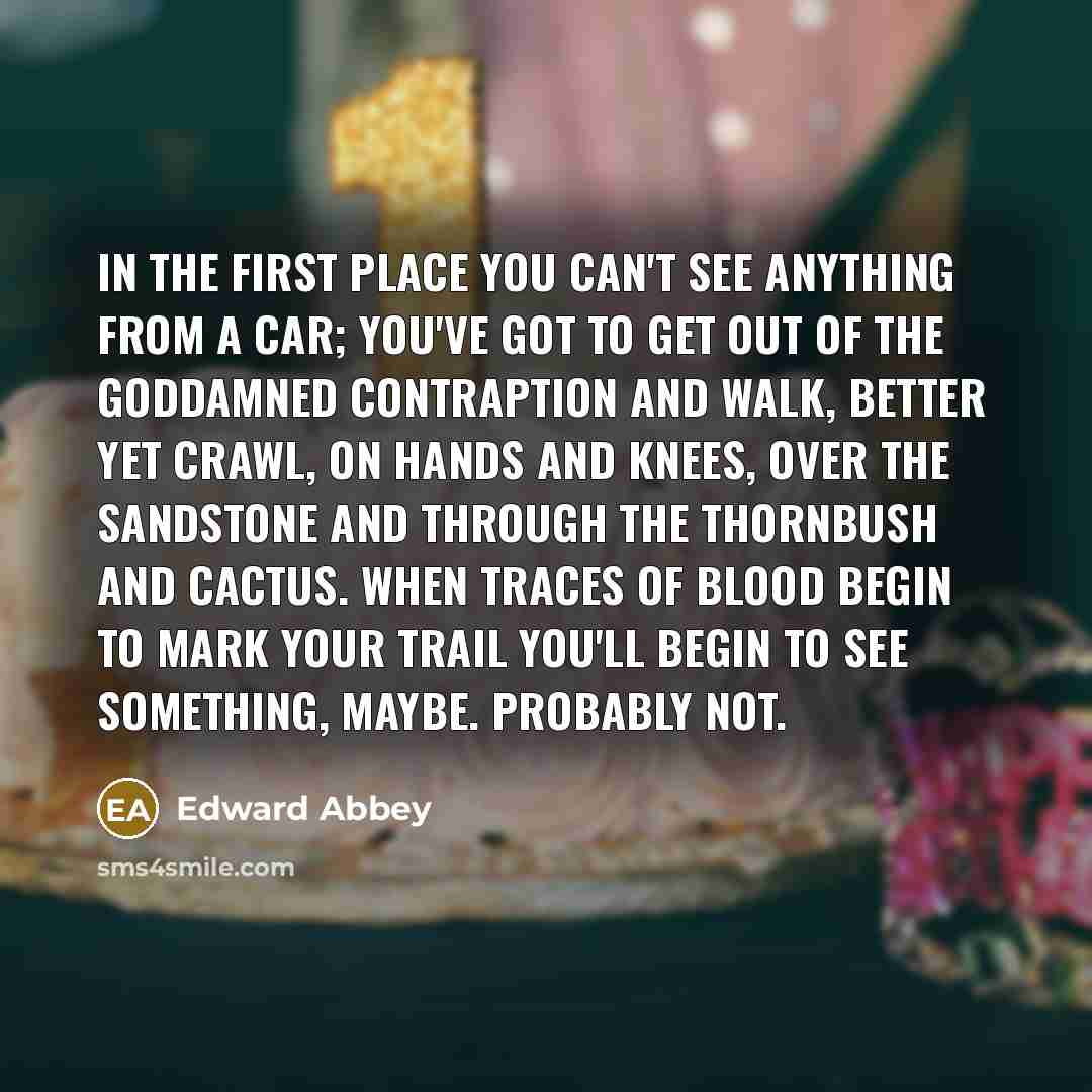 “In the first place you can't see anything from a…” quote by Edward Abbey
