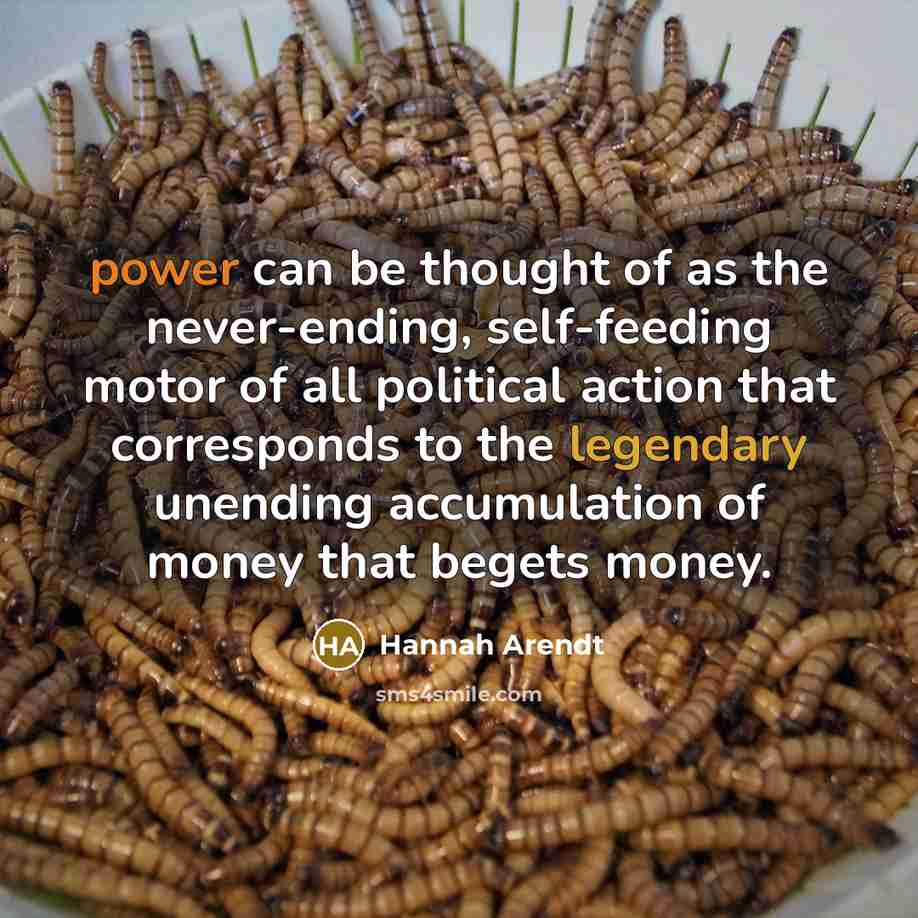 “power can be thought of as the never-ending, self-feeding motor…” quote by Hannah Arendt