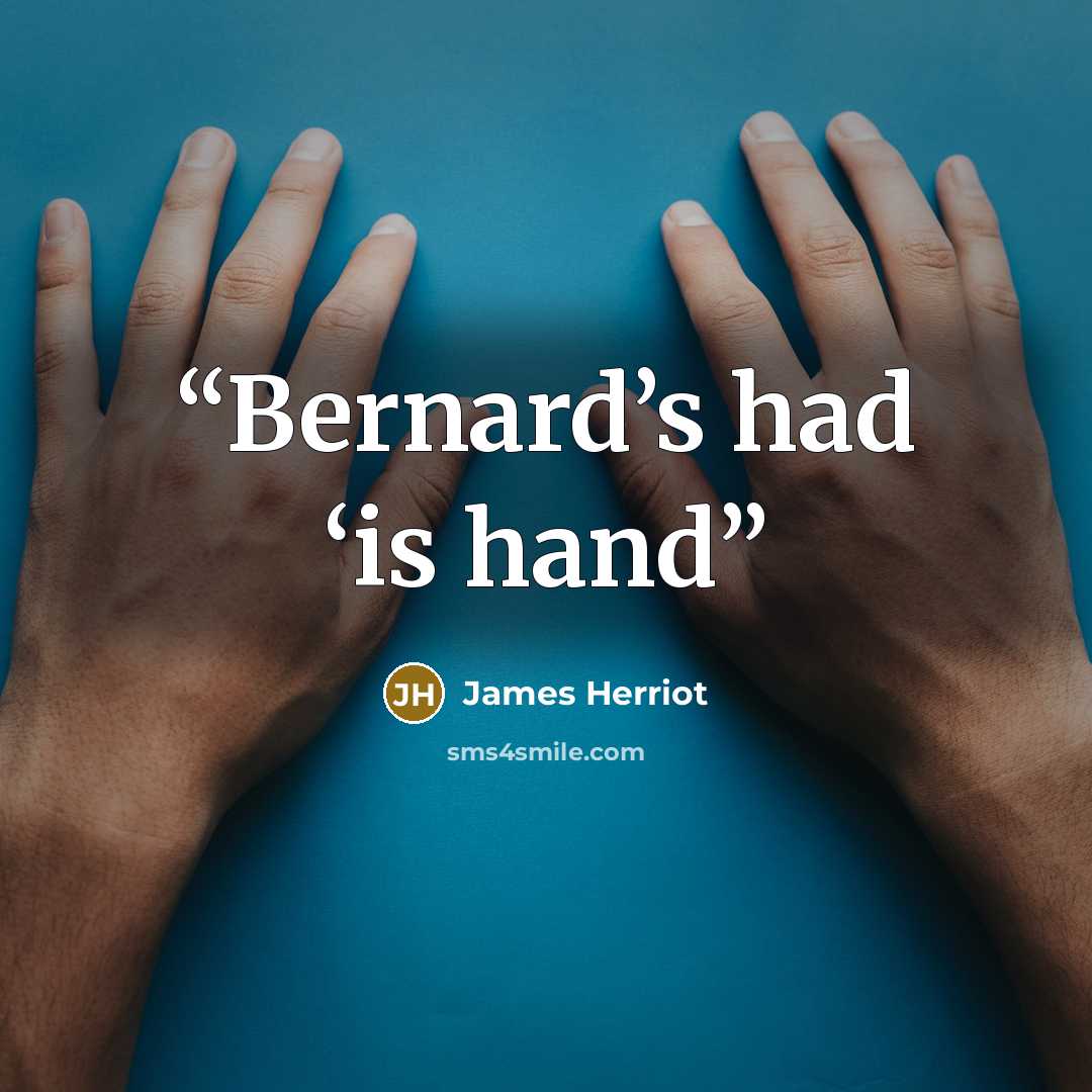“Bernard’s had ‘is hand” quote by James Herriot