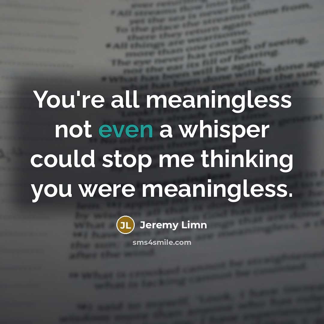 “You're all meaningless not even a whisper could stop me…” quote by Jeremy Limn