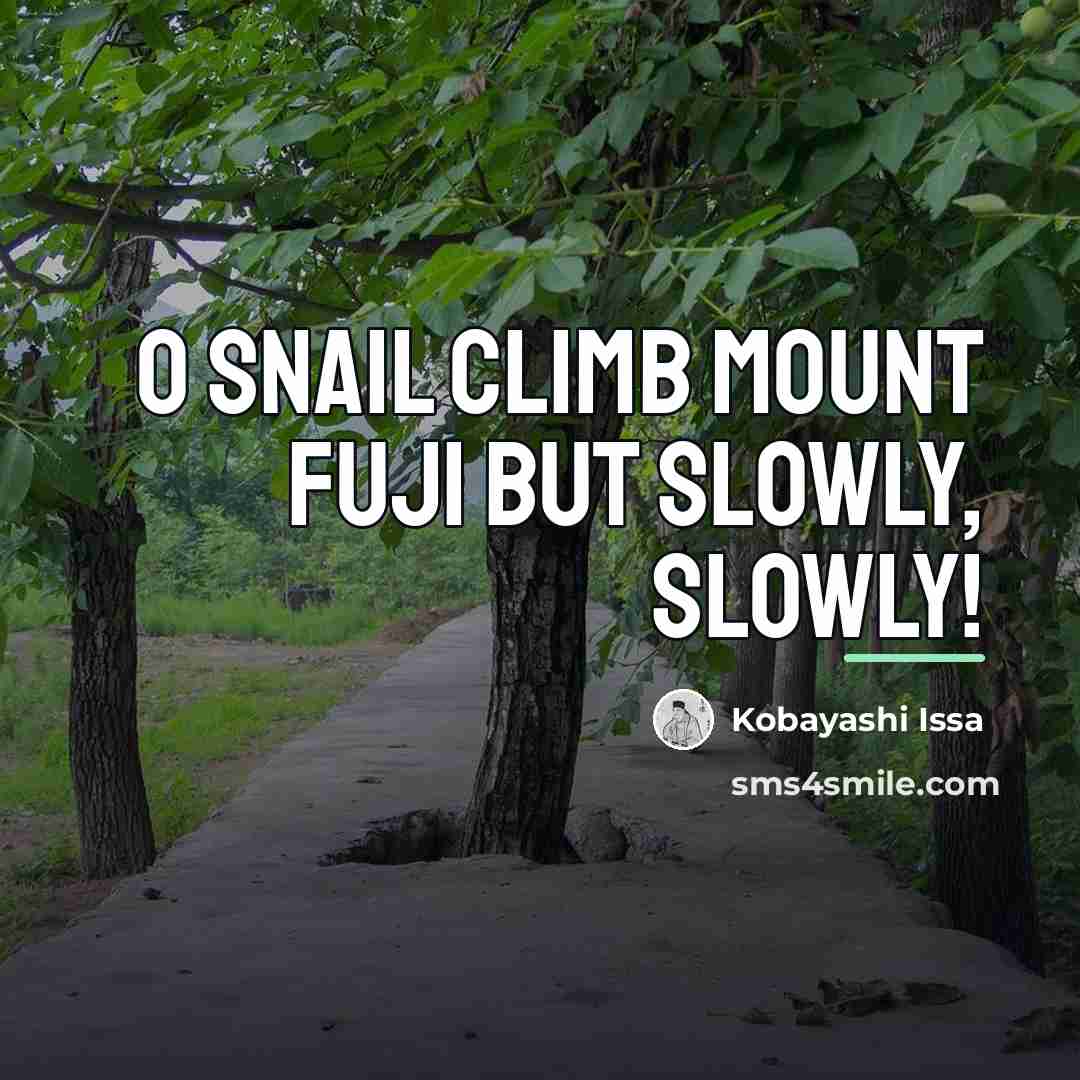 “O snail Climb Mount Fuji But slowly, slowly!…” quote by Kobayashi Issa