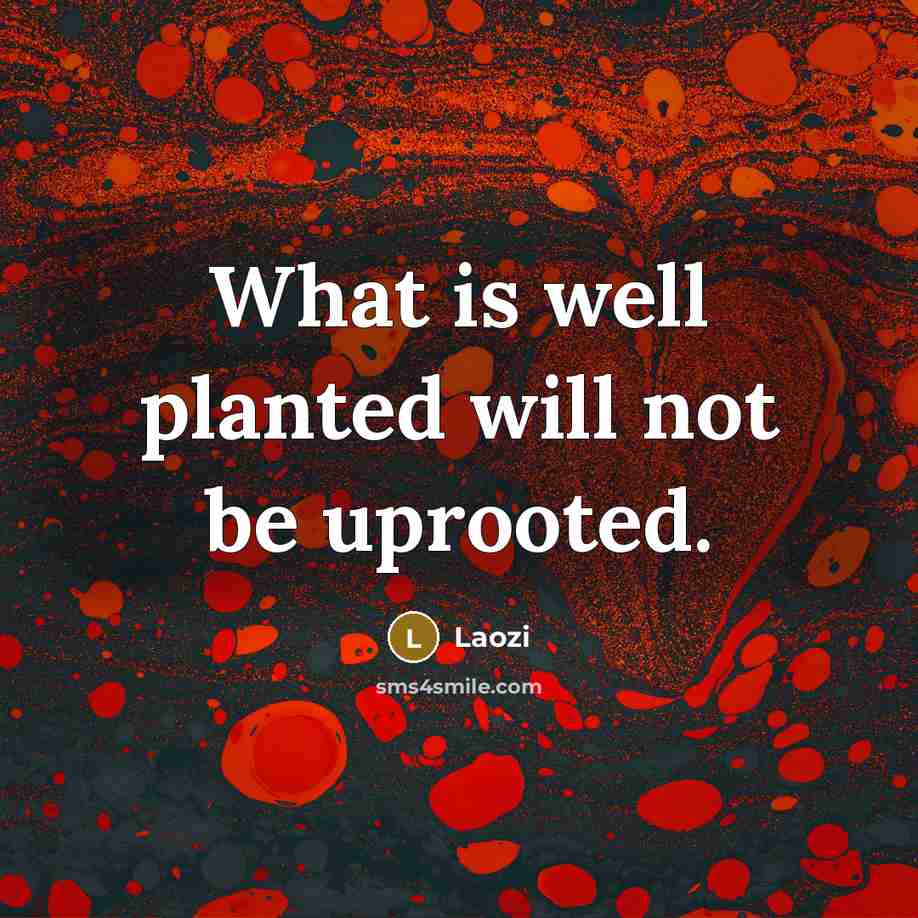 “What is well planted will not be uprooted.…” quote by Laozi