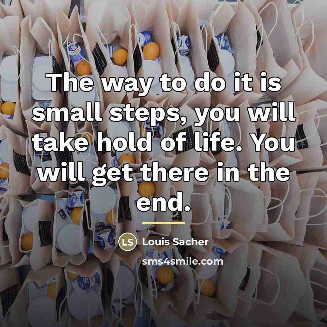 “The way to do it is small steps, you will…” quote by Anonymous