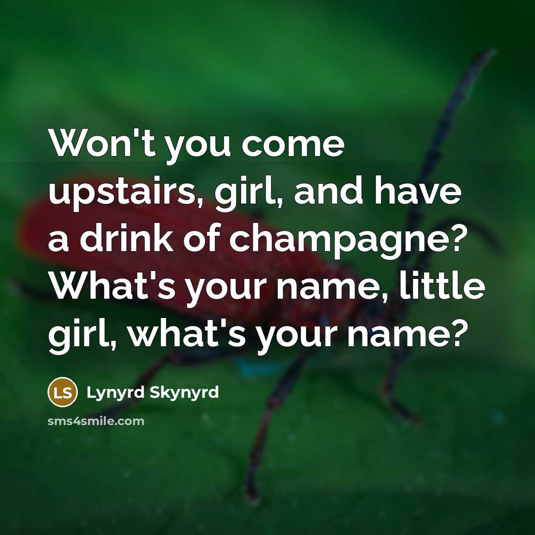 “Won't you come upstairs, girl, and have a drink of champagne? What's your name, little girl, what's your name?” quote by Lynyrd Skynyrd
