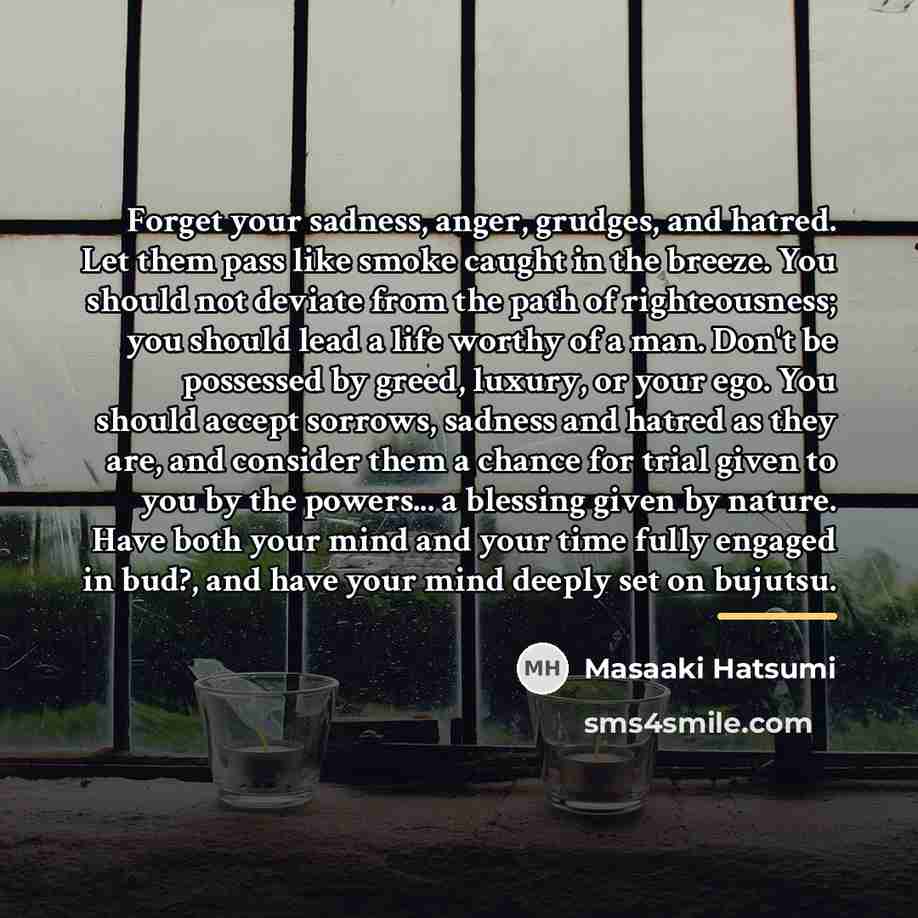 “Forget your sadness, anger, grudges, and hatred. Let them pass…” quote by Masaaki Hatsumi