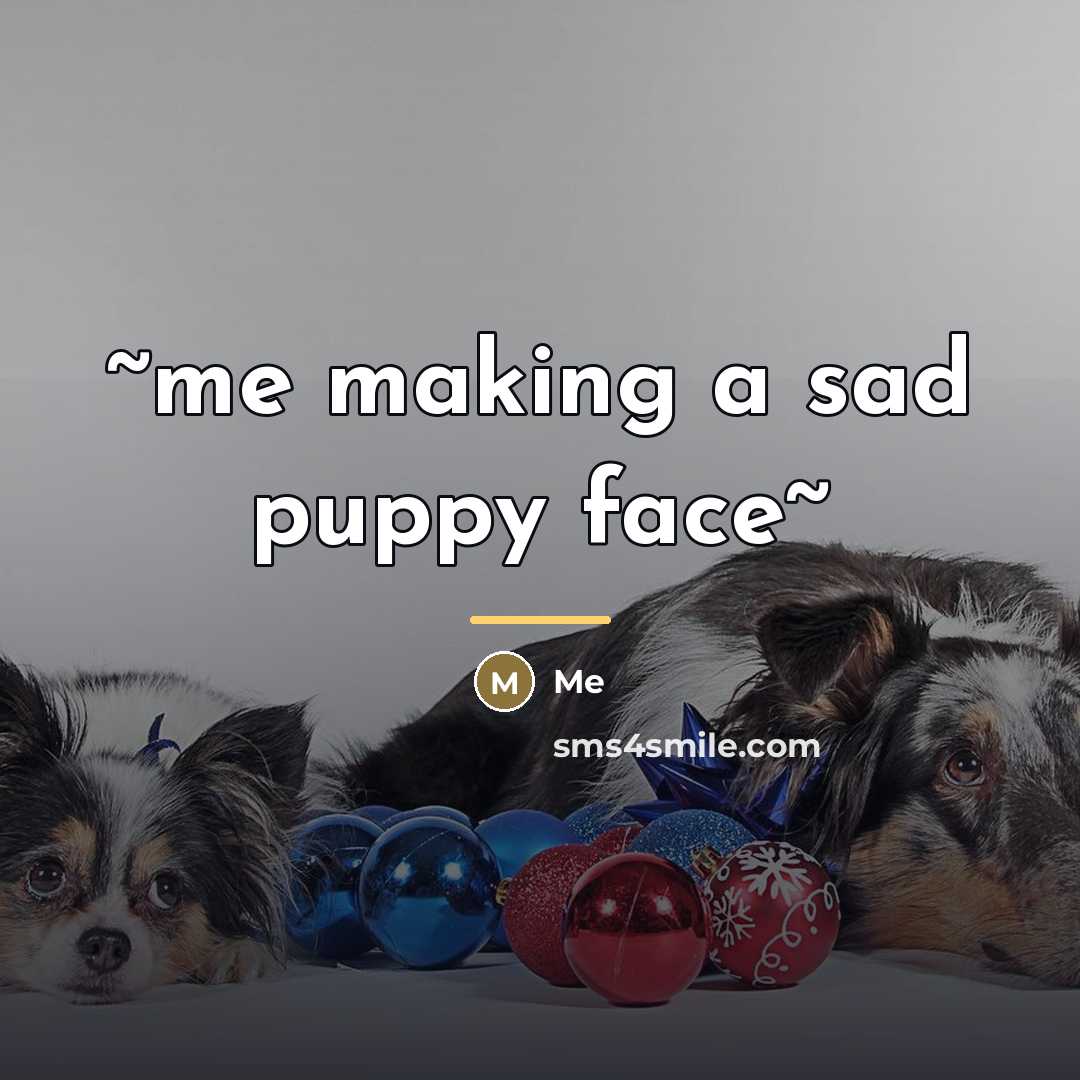 “~me making a sad puppy face~…” quote by Me
