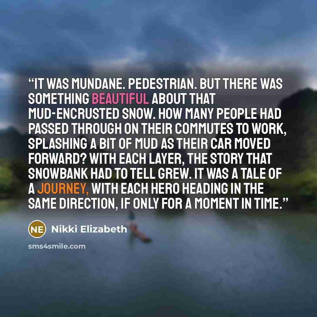“It was mundane. Pedestrian. But there was something beautiful about that mud-encrusted snow. How many people had passed through on their commutes to work, splashing a bit of mud as their car moved forward? With each layer, the story that snowbank had to tell grew. It was a tale of a journey, with…” quote by Nikki Elizabeth