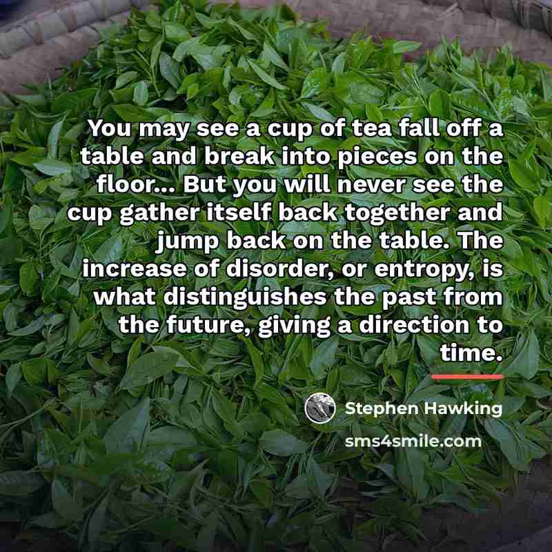 “You may see a cup of tea fall off a…” quote by Stephen Hawking