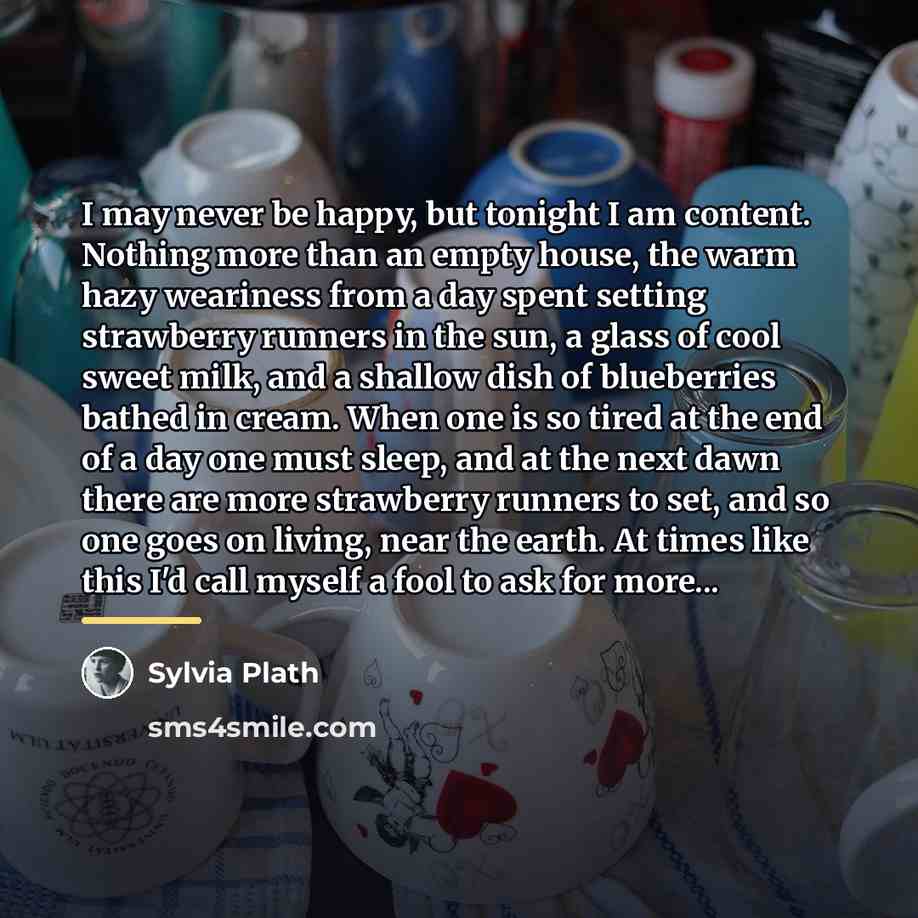 “I may never be happy, but tonight I am content.…” quote by Sylvia Plath