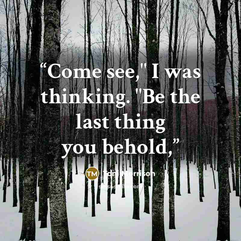“Come see," I was thinking. "Be the last thing you behold,” quote by Toni Morrison