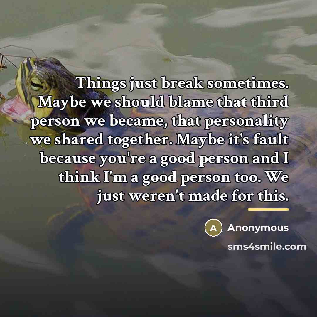 “Things just break sometimes. Maybe we should blame that third…” quote by Anonymous