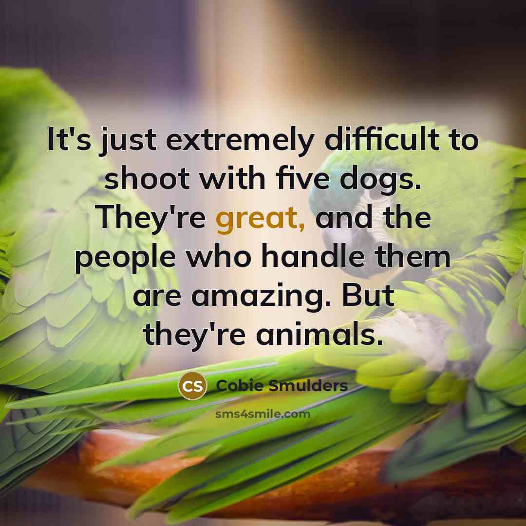 “It's just extremely difficult to shoot with five dogs. They're…” quote by Cobie Smulders