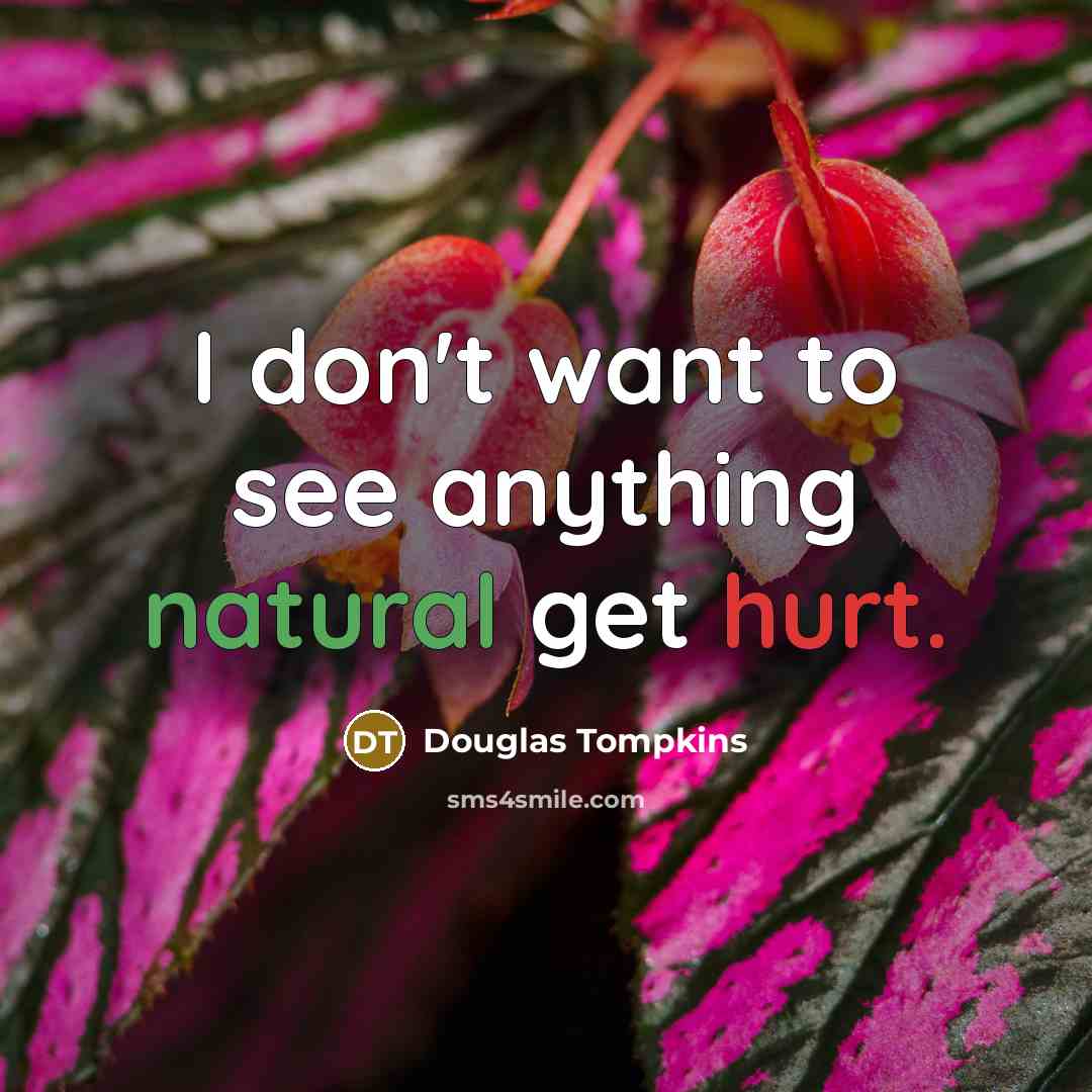 “I don't want to see anything natural get hurt.…” quote by Douglas Tompkins
