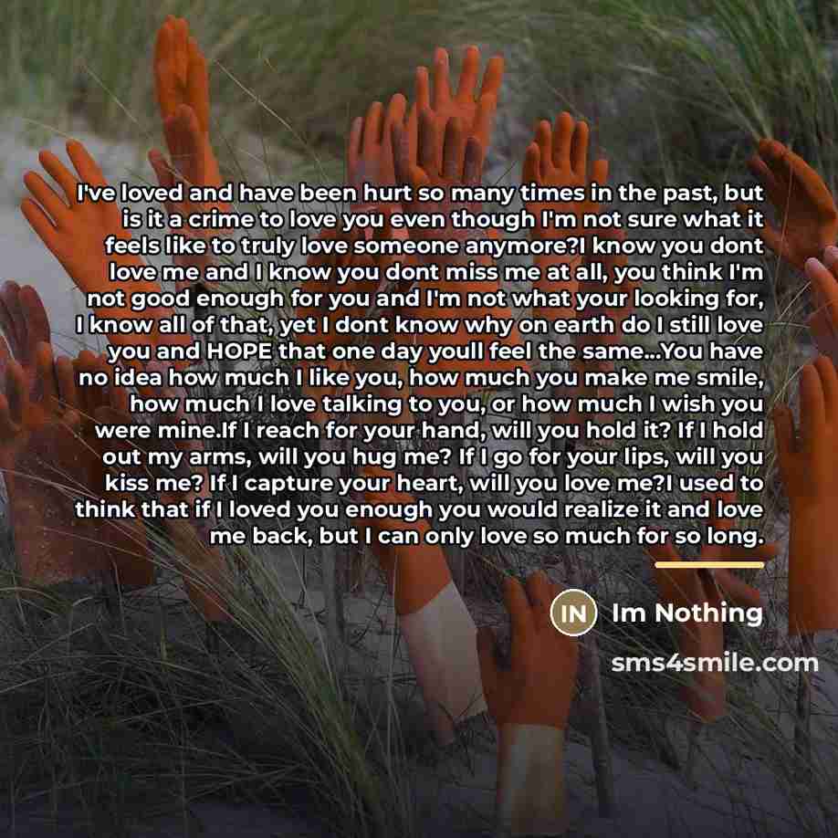 “I've loved and have been hurt so many times in…” quote by Im Nothing