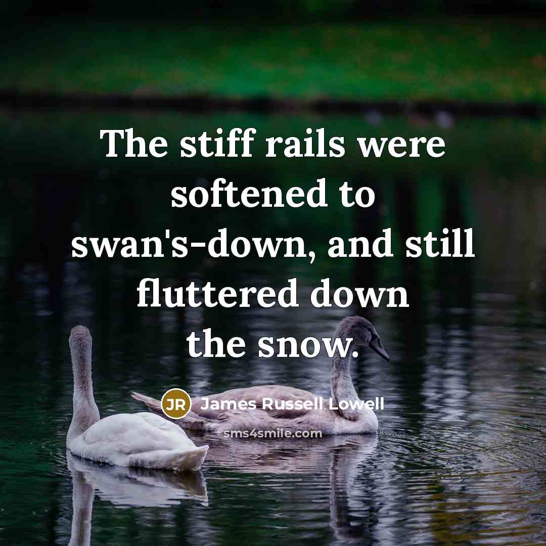 “The stiff rails were softened to swan's-down, and still fluttered…” quote by James Russell Lowell
