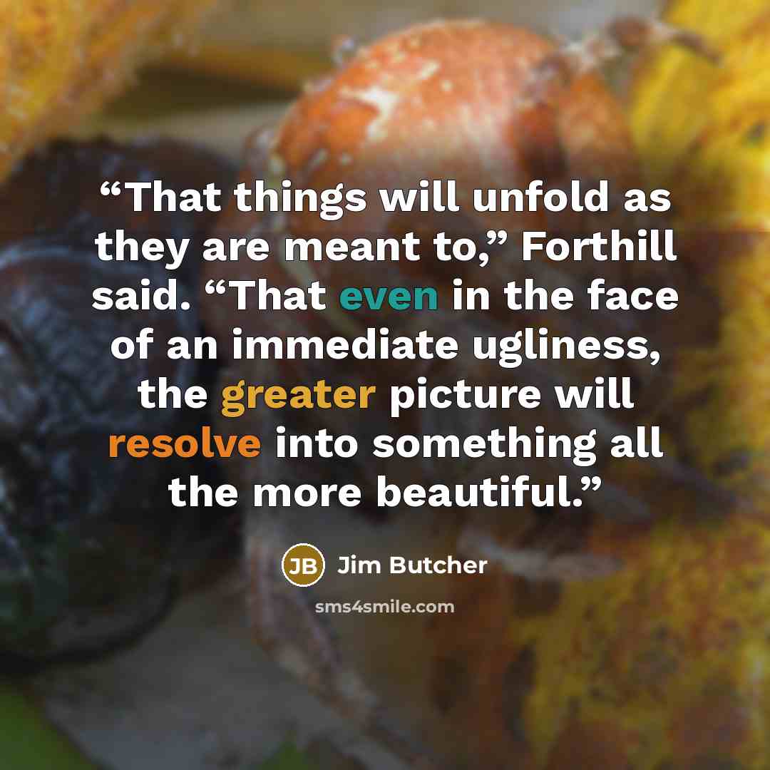 “That things will unfold as they are meant to,” Forthill said. “That even in the face of an immediate ugliness, the greater picture will resolve into something all the more beautiful.” quote by Jim Butcher