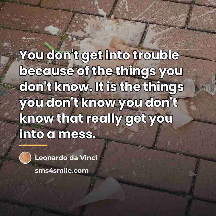 “You don't get into trouble because of the things you…” quote by Leonardo da Vinci