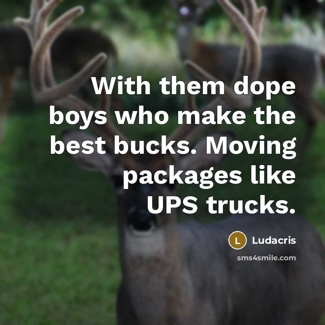 “With them dope boys who make the best bucks. Moving packages like UPS trucks.” quote by Ludacris