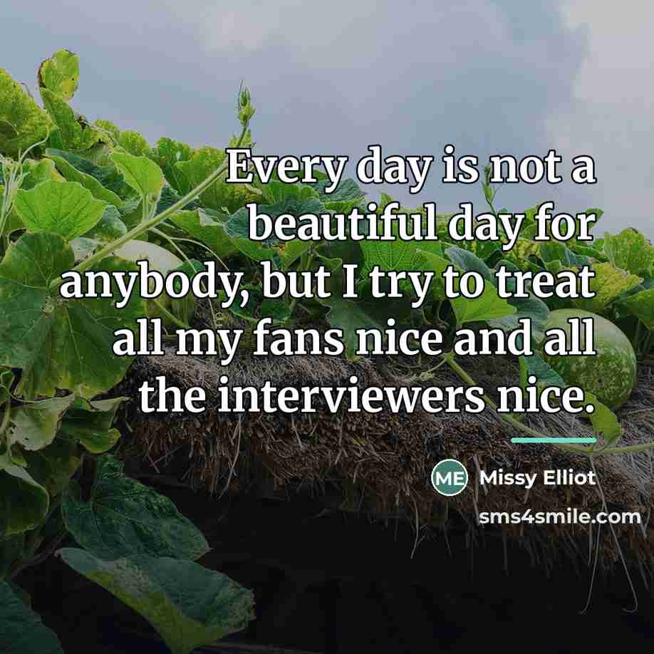“Every day is not a beautiful day for anybody, but…” quote by Missy Elliot
