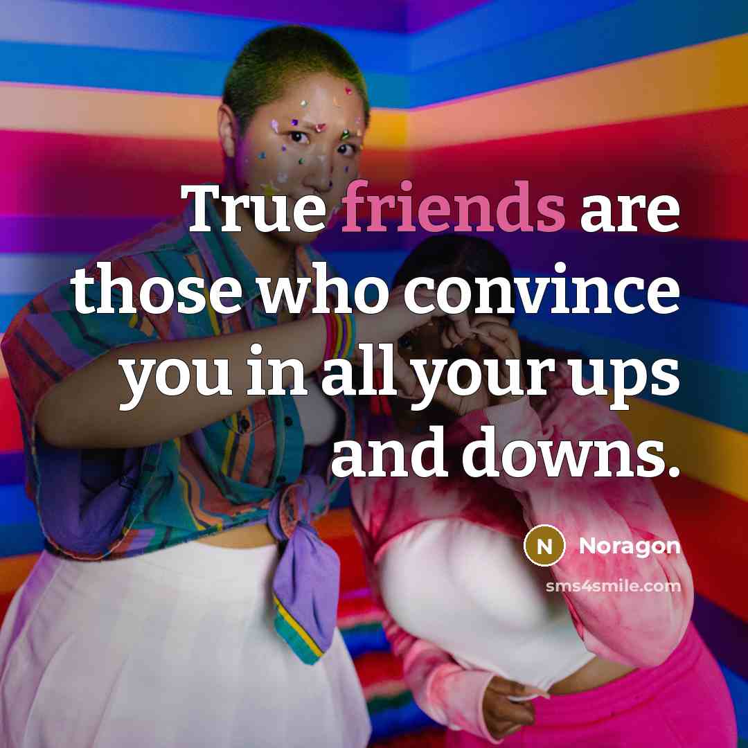 “True friends are those who convince you in all your ups and downs.” quote by Noragon