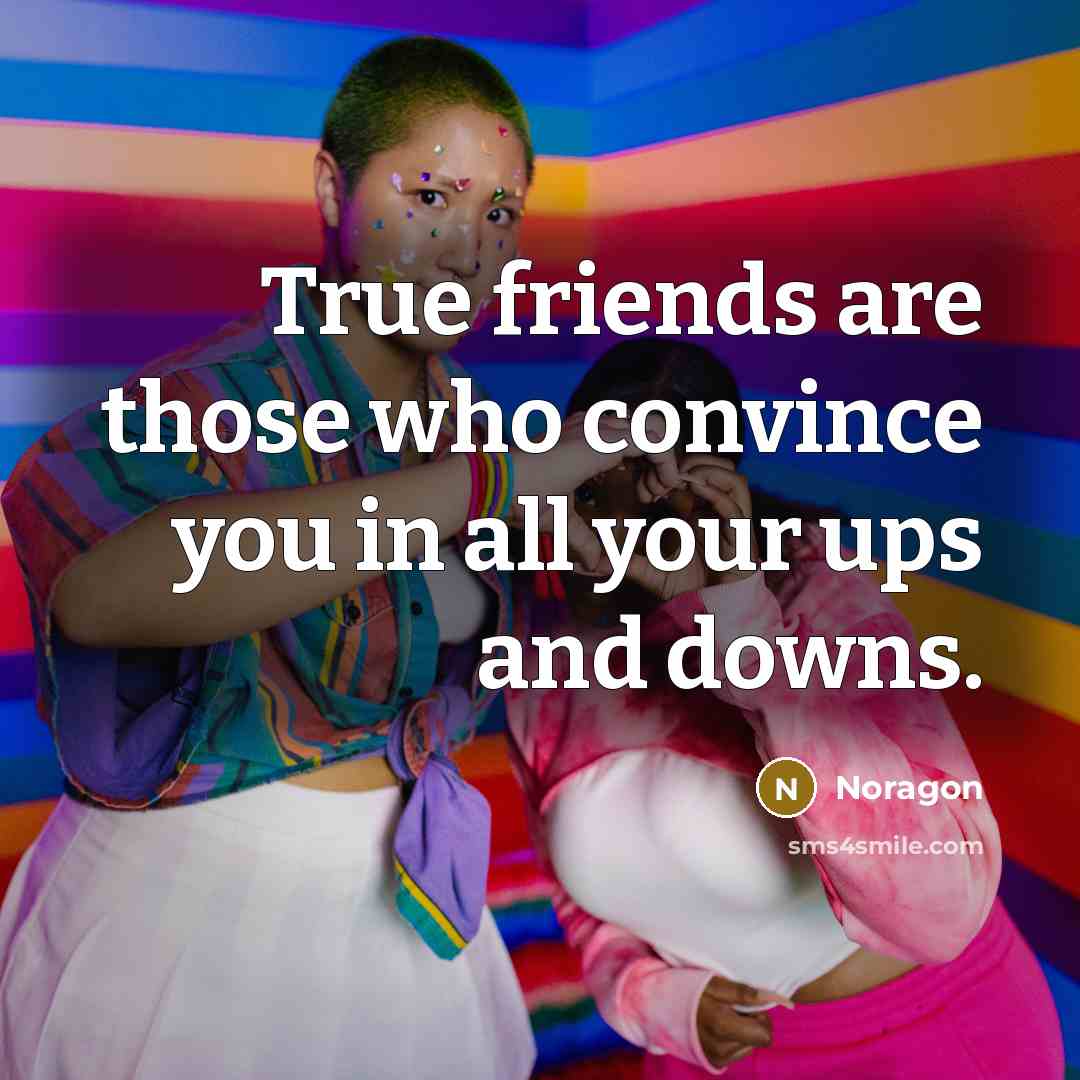 “True friends are those who convince you in all your…” quote by Noragon