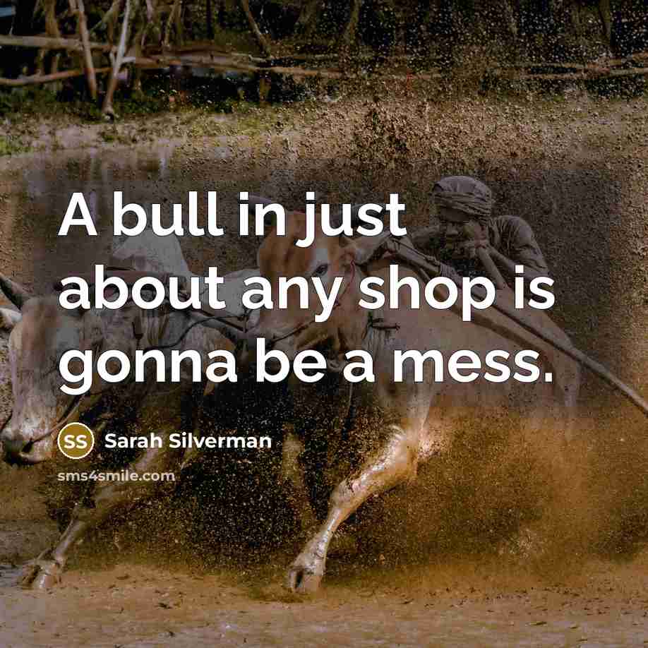 “A bull in just about any shop is gonna be…” quote by Sarah Silverman