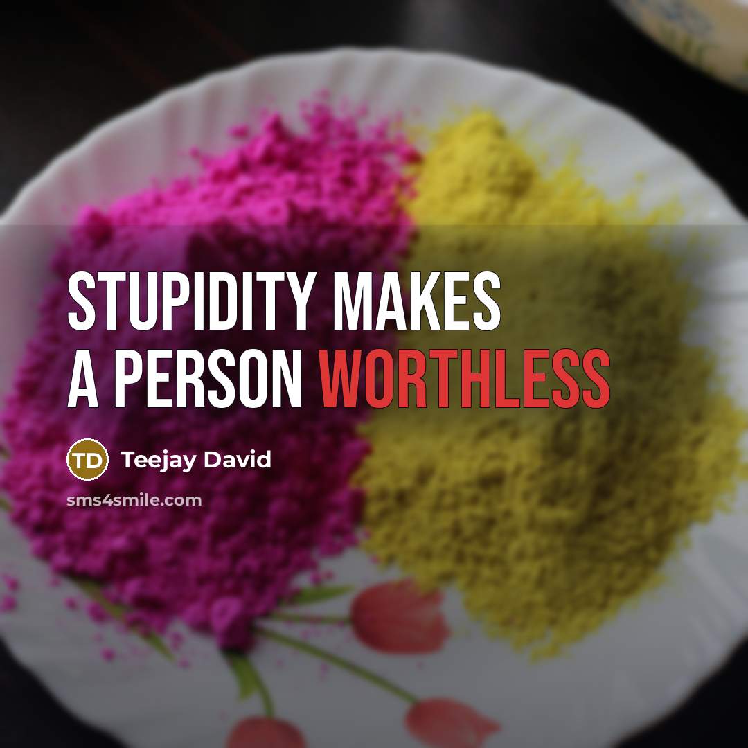 “Stupidity makes a person worthless…” quote by Teejay David